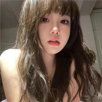 盗贼生涯